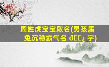 周姓虎宝宝取名(男孩属兔沉稳霸气名 🌿 字)